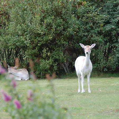 Hedevej Xii Tatil Evi *