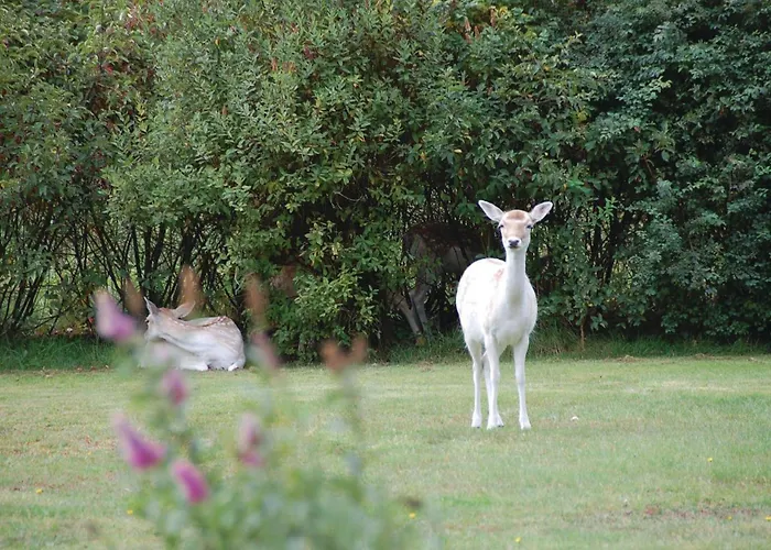 Hedevej Xii Ferienhaus *